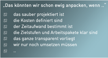 Interim Projektleiter